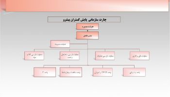 چارت سازمانی