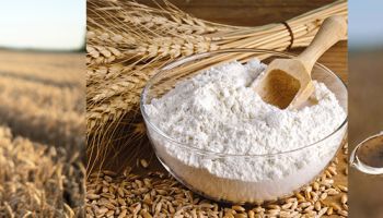 Agricultural Products Inspection